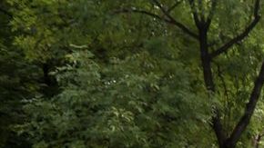 Exigen justicia para los 43 normalistas desaparecidos de Ayotzinapa. (Foto: Agencia Reforma)