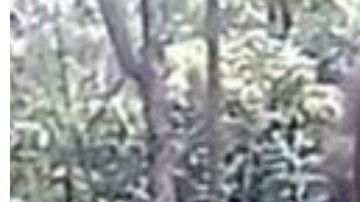 La muerte de los menores es investigada por las autoridades.