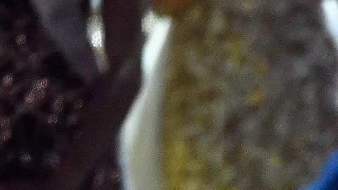 Demi-Leigh Nel-Peters, Miss Universo 2017.