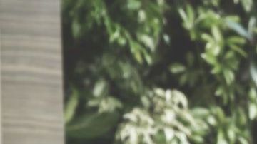 Si no tienes papeles, el proceso para encontrar trabajo no debería ser distinto al de un ciudadano.