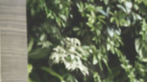 Si no tienes papeles, el proceso para encontrar trabajo no debería ser distinto al de un ciudadano.