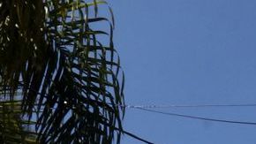 Representación diplomática de EEUU.