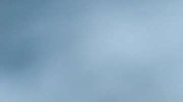 Las perlas no sólo sirven para hacer collares; también adornan todo tipo de prendas