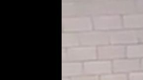 Los agentes en la patrulla.