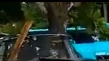 Rescatistas salvan a víctimas del tsunami en Indonesia.