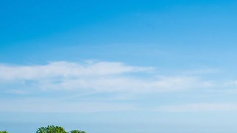 shutterstock_1098196889