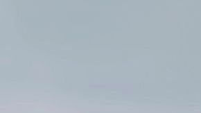 shutterstock_1124914889