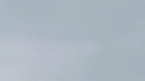 shutterstock_1124914889