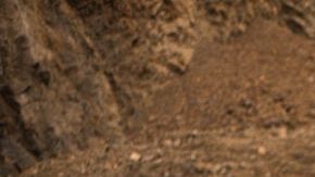 shutterstock_1211656855