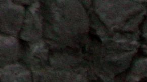 Imagen ilustrativa de un oso polar.