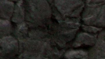 Imagen ilustrativa de un oso polar.