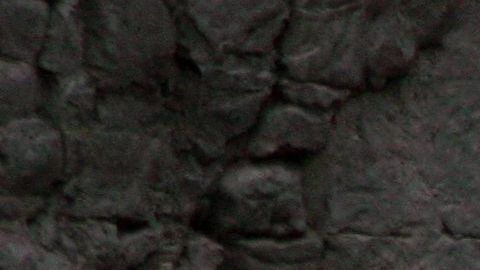 Imagen ilustrativa de un oso polar.