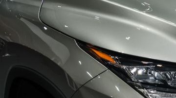 shutterstock_1255210399