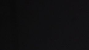 shutterstock_141486613