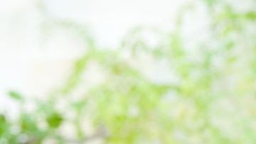 shutterstock_155600579