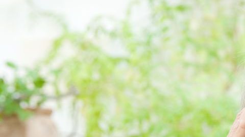 shutterstock_155600579