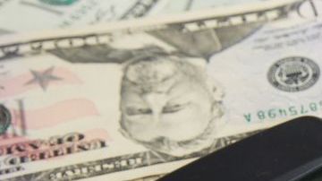 Analice las opciones de seguro disponibles en el mercado antes de tomar una decisión.