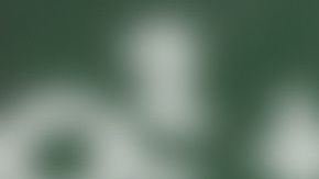 shutterstock_213333985