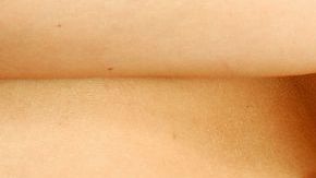 shutterstock_243158560