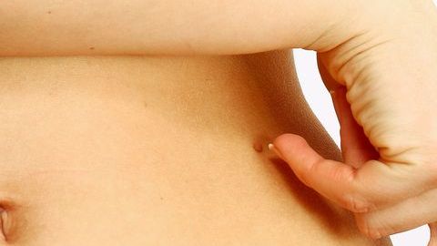 shutterstock_243158560