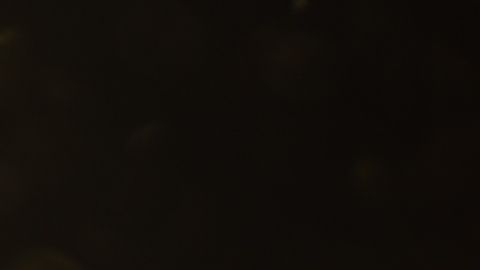 shutterstock_334697651