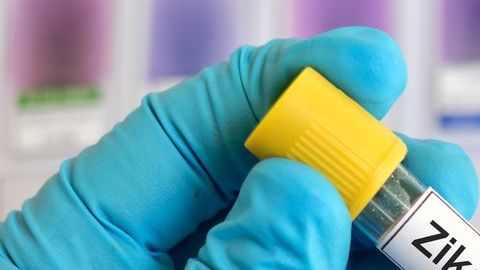 shutterstock_363993479