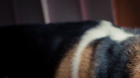 shutterstock_383801827