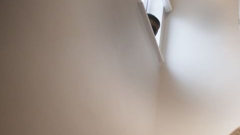 El bebé se golpeó fuertemente y eso le provocó la muerte.