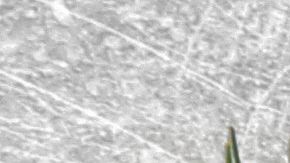 shutterstock_473473087