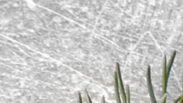 shutterstock_473473087