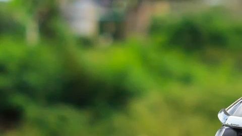 shutterstock_519241105