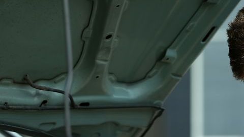 shutterstock_533585167