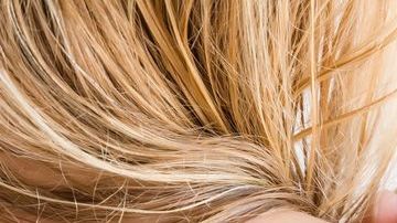 shutterstock_646764016