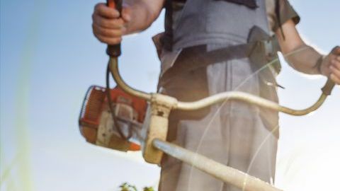 Si quieres que tu jardín luzca reluciente en primavera, debes comenzar a cuidarlo ahora mismo.