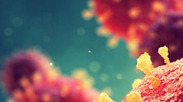 Es mu fácil contagiarse de esta peligrosa enfermedad.