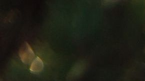 Hacer labor social te llenará de satisfacciones.