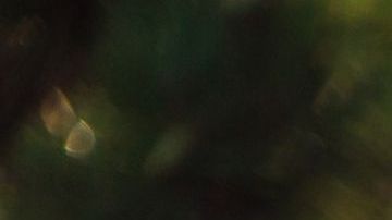 Hacer labor social te llenará de satisfacciones.