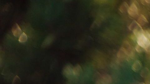 Hacer labor social te llenará de satisfacciones.