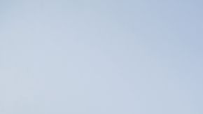 shutterstock_735396703