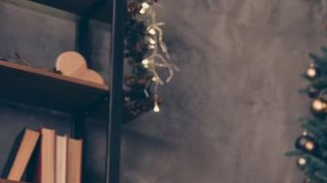 Sexo silencioso en Navidad.