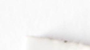 shutterstock_753403870