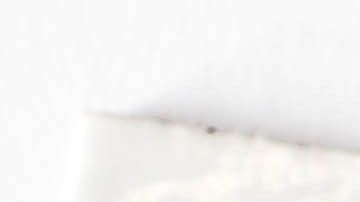 shutterstock_753403870