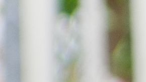 shutterstock_85378405