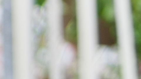 shutterstock_85378405