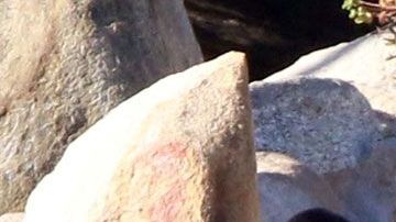 Kourtney Kardashian y Sofia Richie.