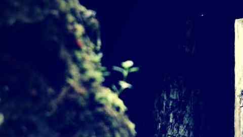 Michael Carroll excavó durante tres años en el sótano de su casa para descubrir la verdad. (Foto ilustrativa)