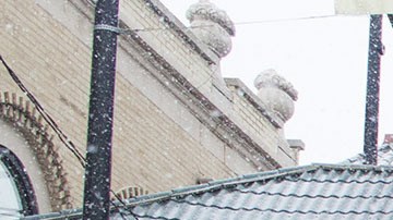 Celebran el Año Chino en Chicago.