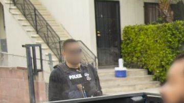 La mega operación se realizó en la ciudad de Nueva York, Long Island y Hudson Valley
