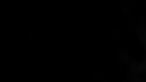 Tim Cook, presidente de Apple./Archivo