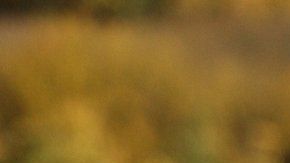 El deporte sirve a Bastidas para llamar la atención sobre las víctimas de trata de personas.